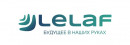 Лелаф