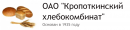 Промышленные предприятия России