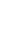 Cupernican