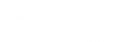 Viking Industrier