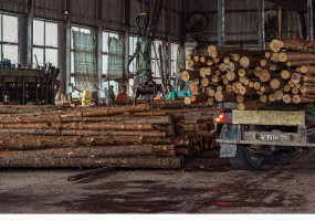 Западный Лес