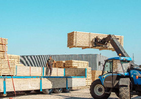 Западный Лес