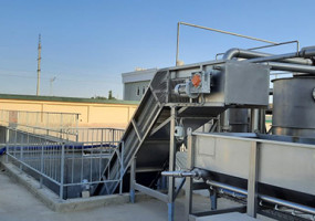 Agro Processing Group & Agro Feed