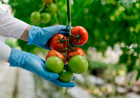 ЕЗХП Химзавод