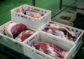 ООО «РАПСОДИЯ»