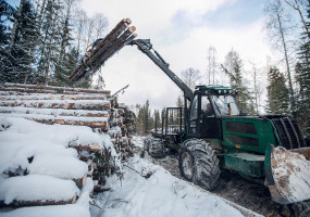 Лесопромышленная компания «ГосЛесФонд»