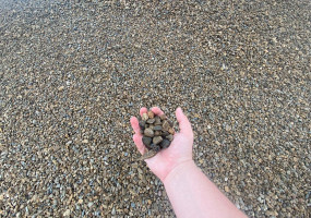 Гравий 5-20 с доставкой