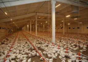 ООО ТЕХНОПРО