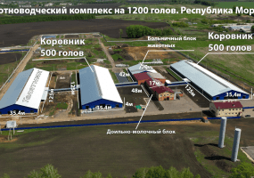 Животноводческий комплекс на 1200 голов. Республика Мордовия, Рузаевский р-он Общий вес металлоконструкций = 465тн. Объём инвестиций 800млн.руб.