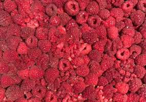 Русская овощная компания