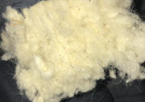 Очес ангорской козы