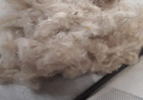 Очес пуховой козий цветной светлый