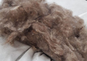 Очес пуховой козий цветной темный