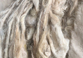 Шерсть овечья мытая цветная-светлая