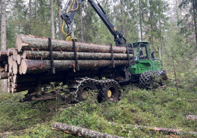 Компания FIRO: заготовка древесины на арендованных участках