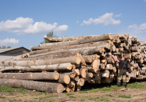 ООО "ДОК СОВЕТСКИЙ"