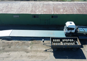 автомобильные весы