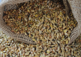 Зерносмесь