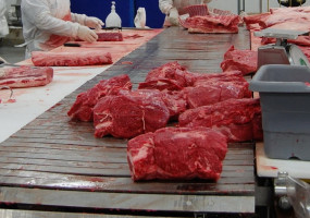 ООО «Компас»