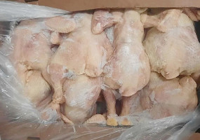 ООО «РАПСОДИЯ»