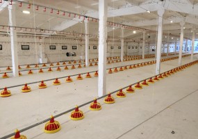 ООО ТЕХНОПРО