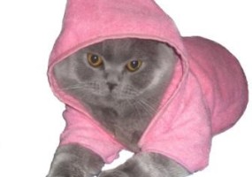 Общество с ограниченной ответственностью « ТАНДЕМ»