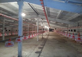 ООО ТЕХНОПРО