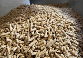 Лесной Урал