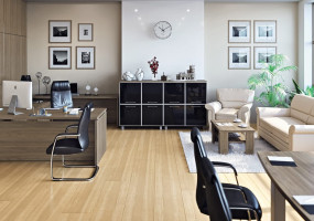 Темпометрика