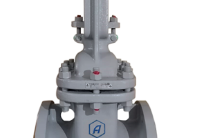 Задвижка клиновая литая фланцевая с выдвижным шпинделем 30с41нж Ду150 Ру16