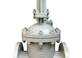 Задвижка клиновая литая фланцевая с выдвижным шпинделем 30с41нж Ду200 Ру16