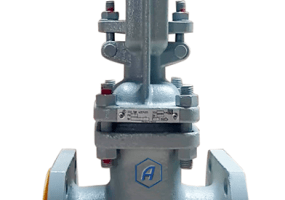 Задвижка клиновая литая фланцевая с выдвижным шпинделем 30с41нж Ду50 Ру16