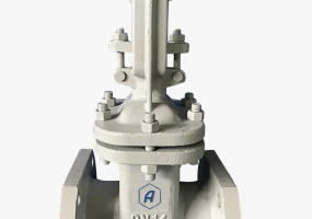 Задвижка клиновая литая фланцевая с выдвижным шпинделем 30с41нж Ду80 Ру16