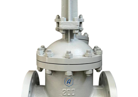 Задвижка клиновая литая фланцевая с выдвижным шпинделем 30с64нж Ду200 Ру25