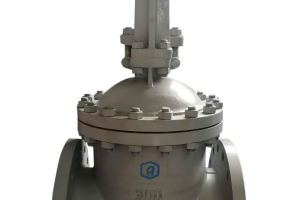 Задвижка клиновая литая фланцевая с выдвижным шпинделем 30с64нж Ду50 Ру300