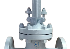 Задвижка клиновая литая фланцевая с выдвижным шпинделем 30с64нж Ду50 Ру25