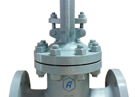 Задвижка клиновая литая фланцевая с выдвижным шпинделем 30с64нж Ду80 Ру25