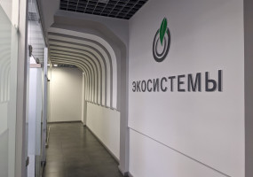 ООО ПО "ЭКОСИСТЕМЫ"