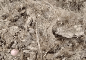 ООО Торрос - торф плодородный грунт и субстраты на основе торфа