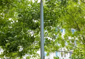 ОП — опора парковая