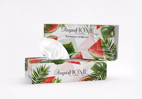 Двуслойные бумажные салфетки