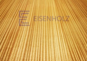 Айзенхольц групп