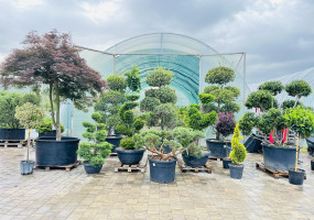 Малая часть нашего ассортимента