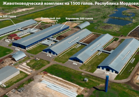 Животноводческий комплекс на 1500 голов КРС. Мордовия, Ичалковский район. Общий вес металлоконструкций = 520тн. Суммарный объём инвестиций - 1.2 млрд.руб.
