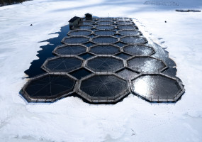 Садки для разведения рыбы