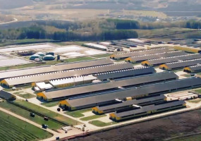 Животноводческий комплекс "Актюба"