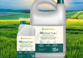 ООО “МЕРИСТЕМА-Н”