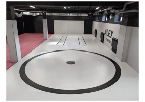 Борцовский Ковер TARGEX