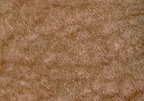 ООО Шерстяная Компания "Славяне"