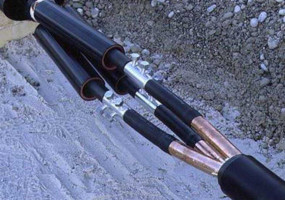 ООО "Светосила"